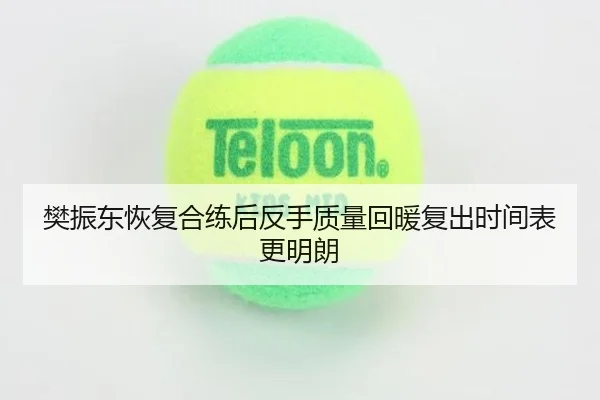 樊振东恢复合练后反手质量回暖复出时间表更明朗
